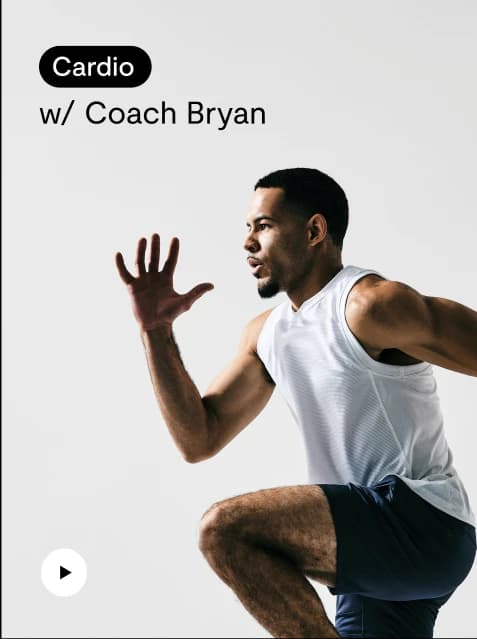 Trainer 4